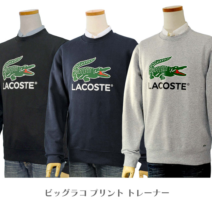 Lacoste RXe tWbvp[J[ lCr[ O[