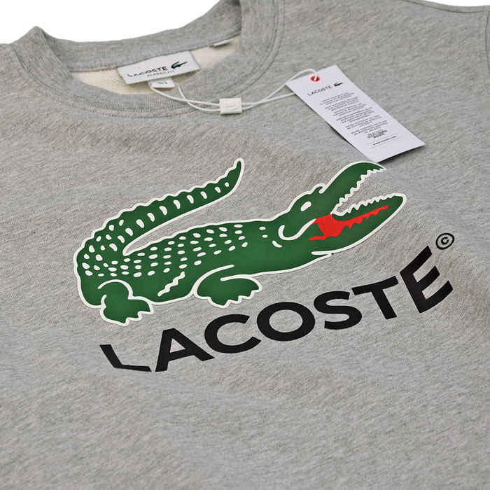 Lacoste RXe rbOR vg g[i[ O[ TCYM`XXL