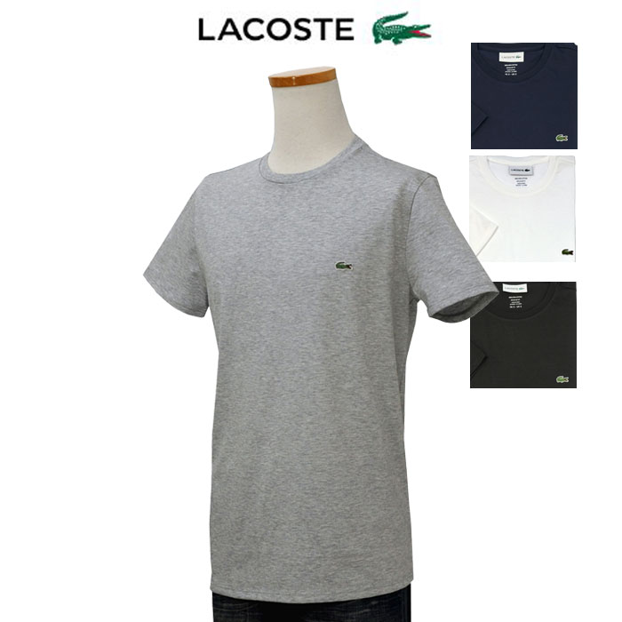 Lacoste RXe  |CgTVc O[