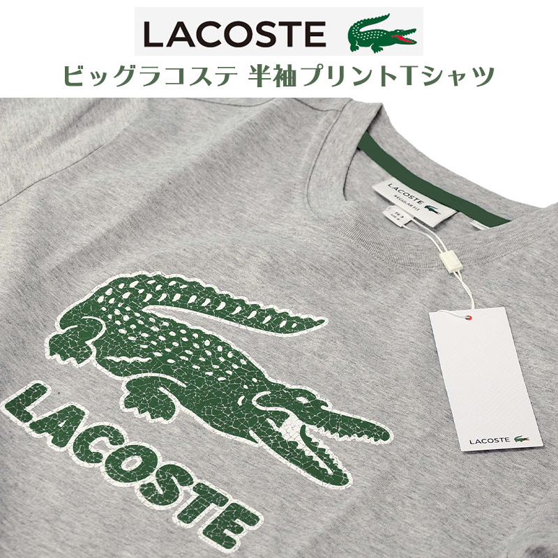 ラコステ メンズビッグラコステ 半袖Tシャツ送料無料 半袖 Tシャツ