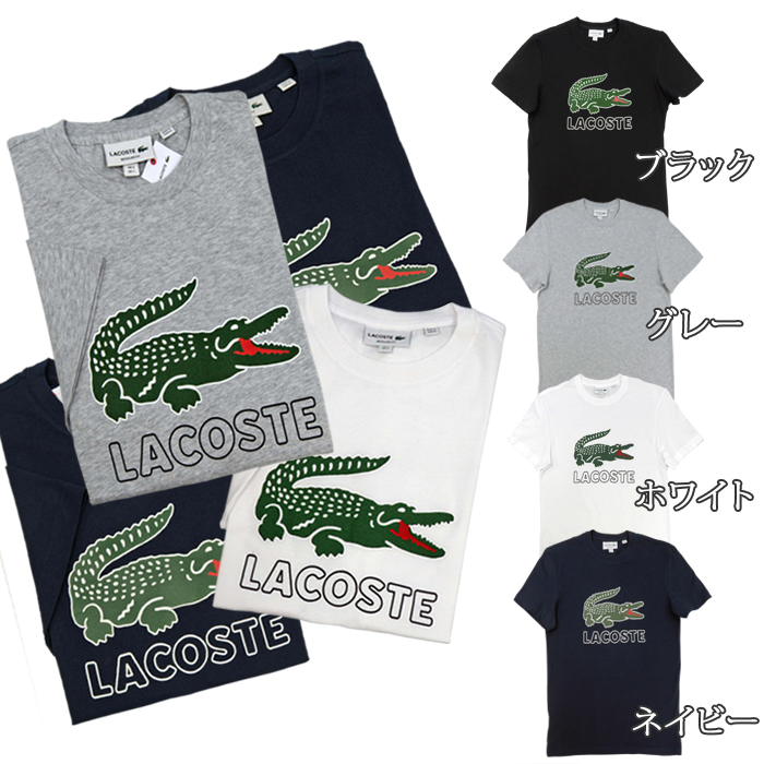 Lacoste RXe rbORXevgTVcubNO[zCglCr[