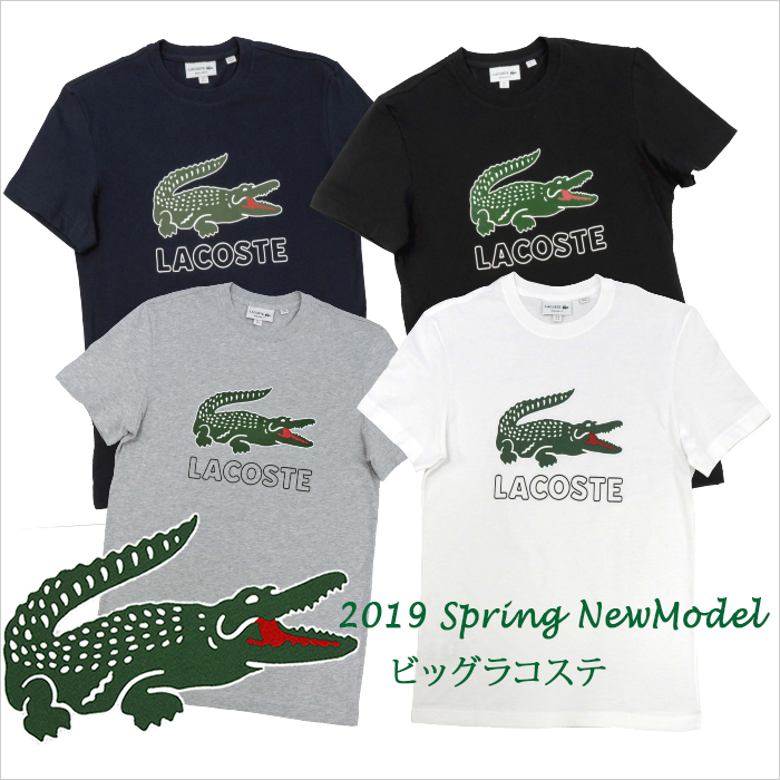 Lacoste RXe rbORXevgTVc