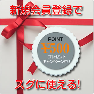 会員登録で500円分ポイントプレゼント