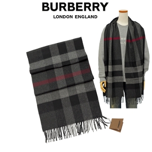 BURBERRYo[o[}t[