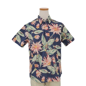 POLO t[TbJ[nnCAVc