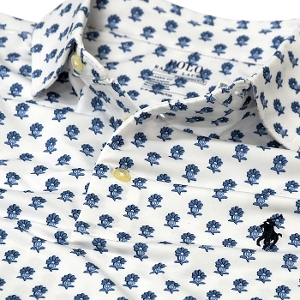 POLO t[ Y |Vc